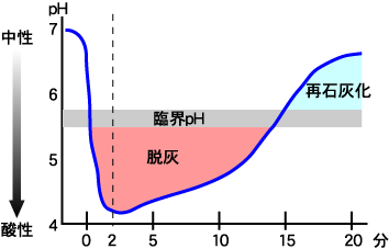 カーブ ステファン