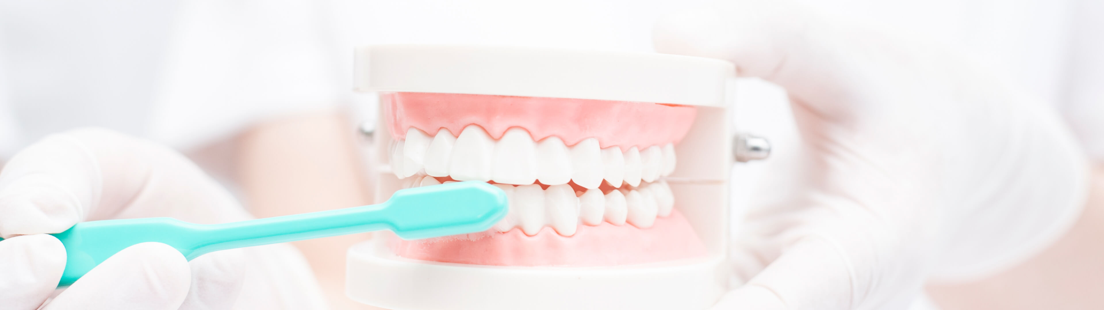 予防・クリーニング