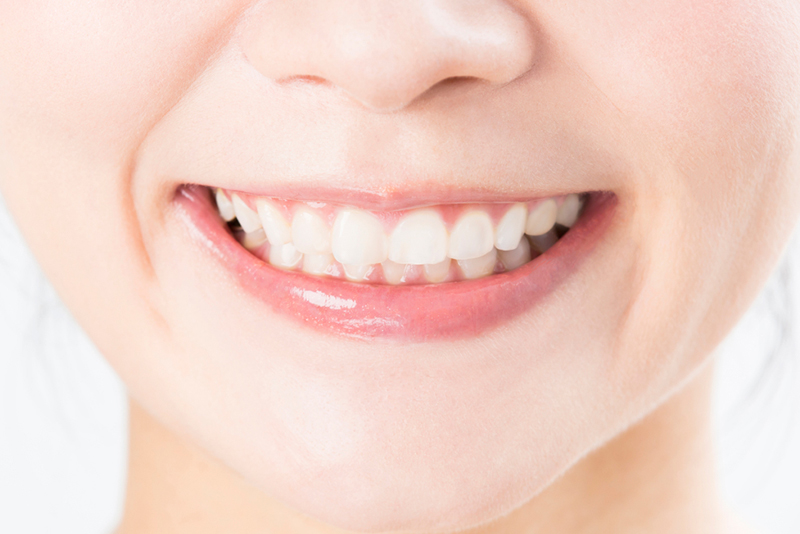 定期検診・メンテナンス