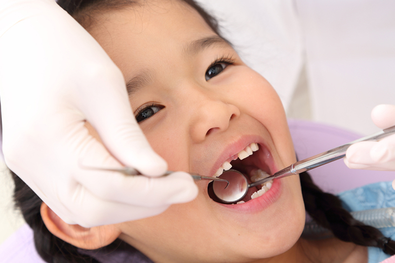 健康な永久歯は健康な乳歯から